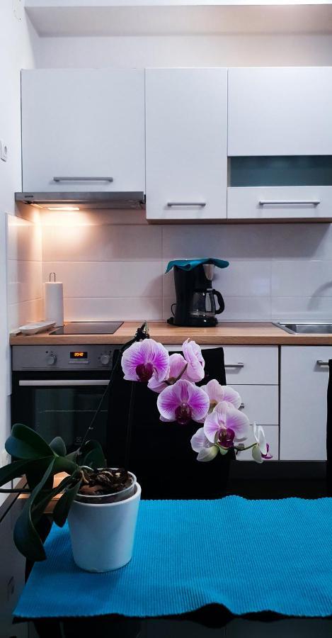 Radenka Zafron Apartment Vodice Bagian luar foto